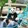 Star Panda2