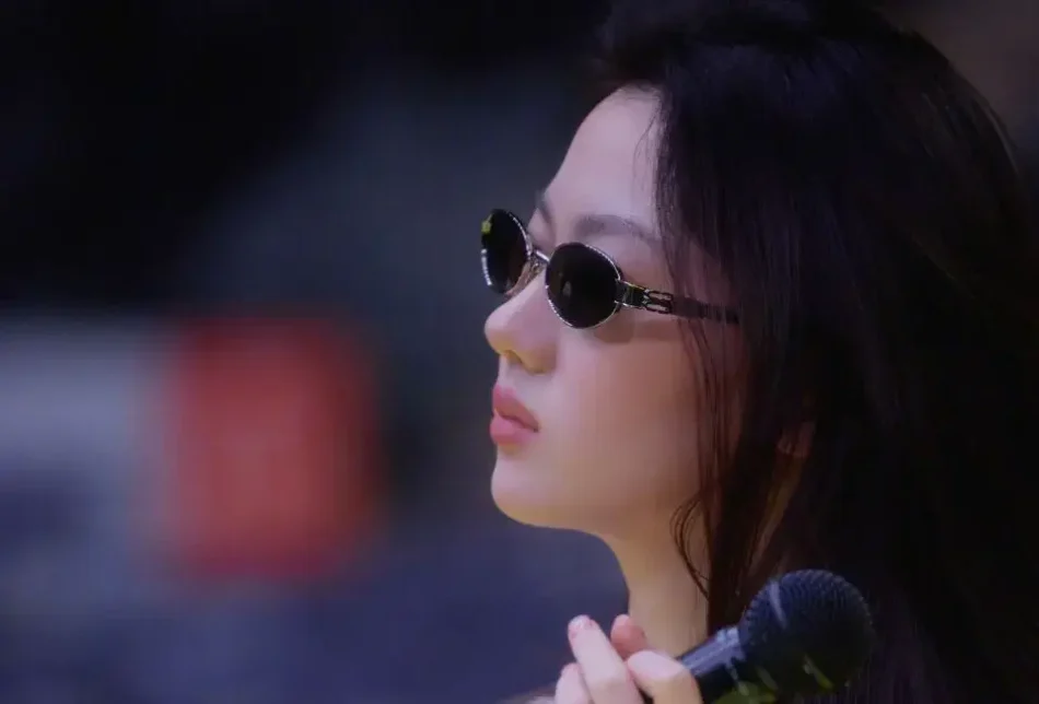 Shan Yichun’s copyright infringement